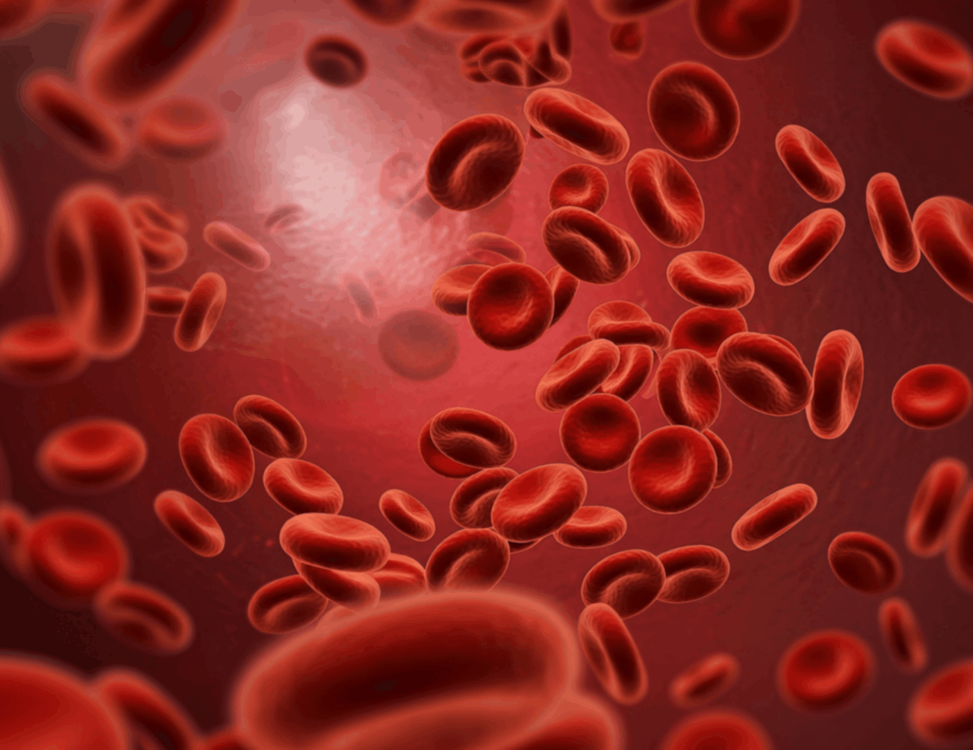 Close-up illustration of red blood cells in the bloodstream, representing iron deficiency and anaemia in pregnancy