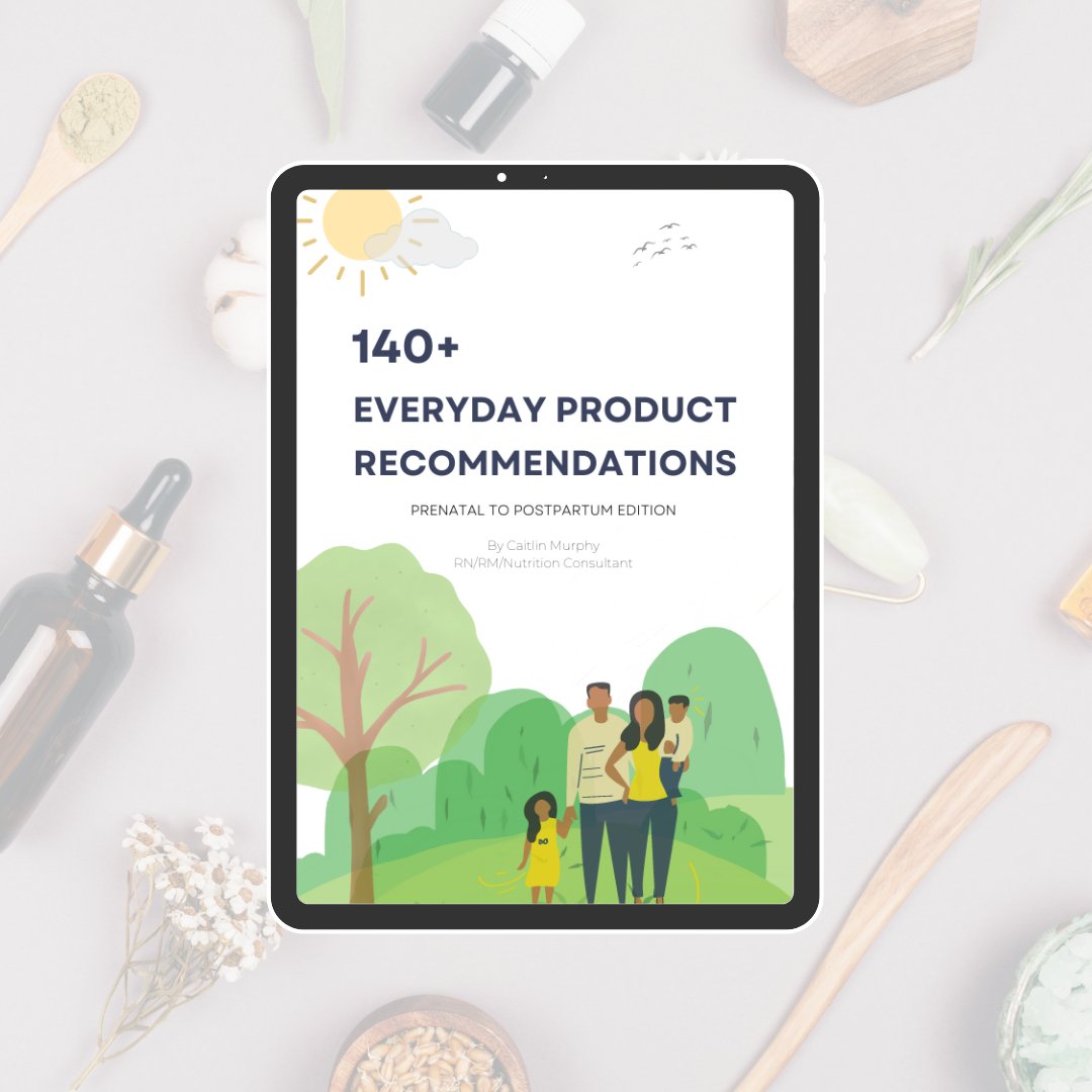 Digital cover of the eBook “140+ Everyday Product Recommendations – Prenatal to Postpartum Edition” by Caitlin Murphy, RN/RM/Nutrition Consultant, featuring an illustrated family standing in a green park with trees, under a sunny sky with clouds and birds.