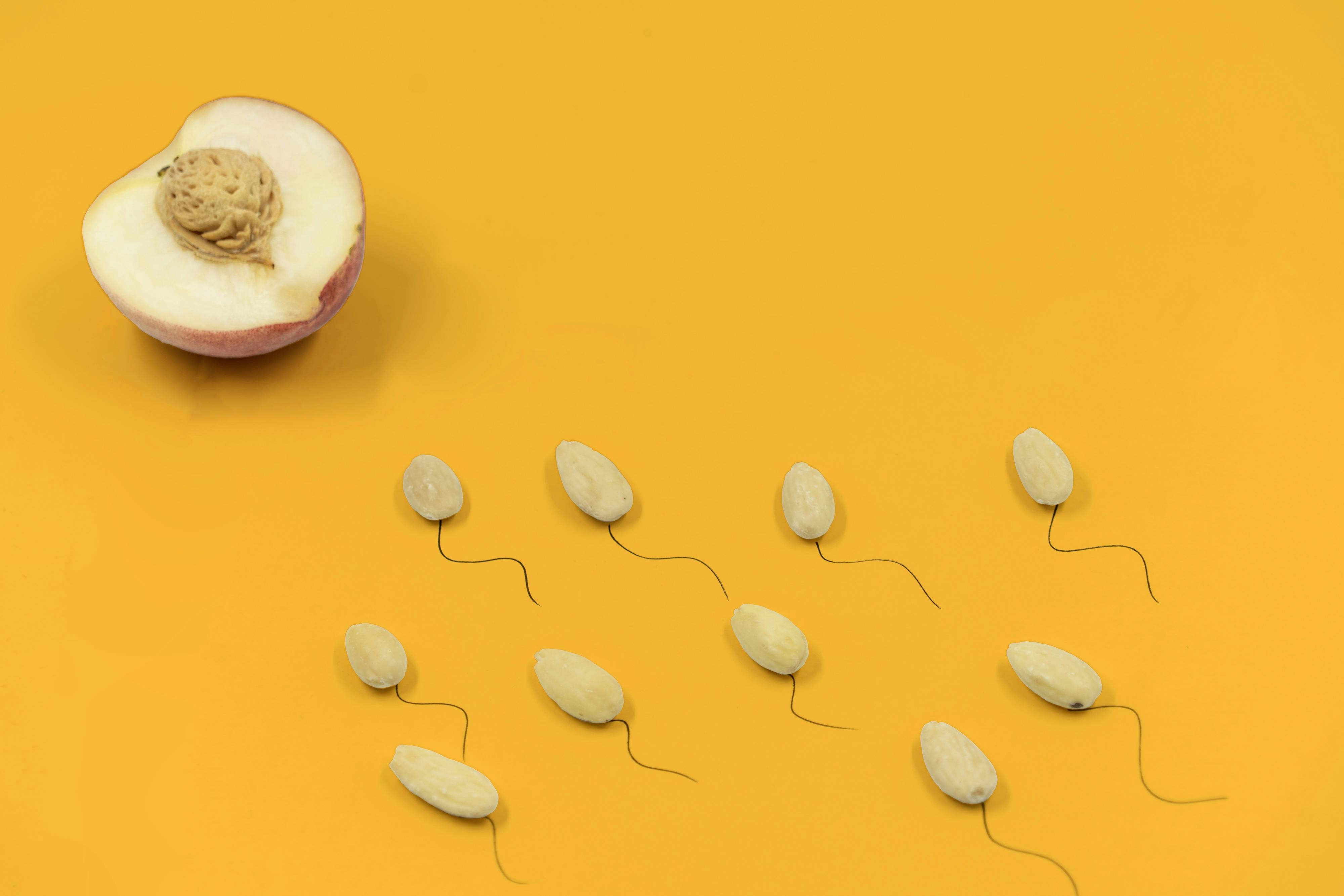 Illustration of sperm swimming towards an egg, symbolising male fertility and conception.