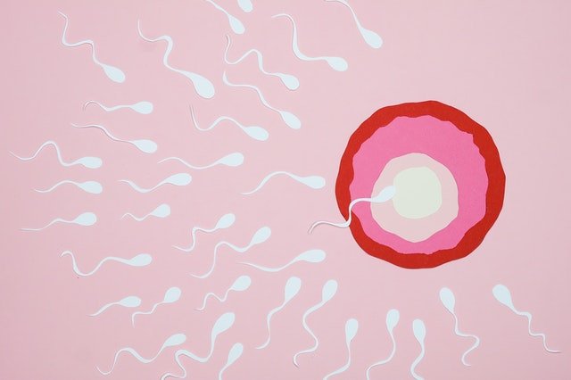 12 Ways To Improve Sperm Health