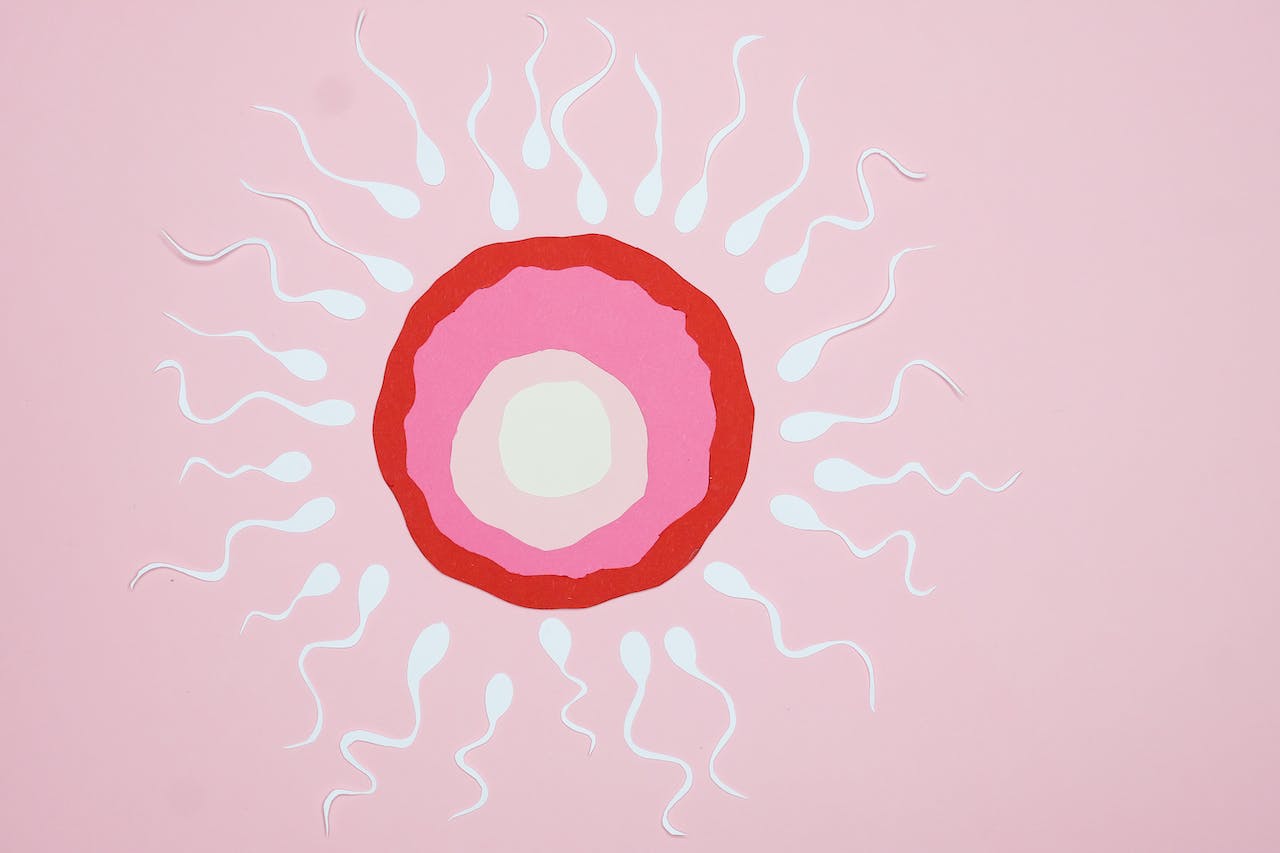 The Link Between Sperm & Myo-Inositol