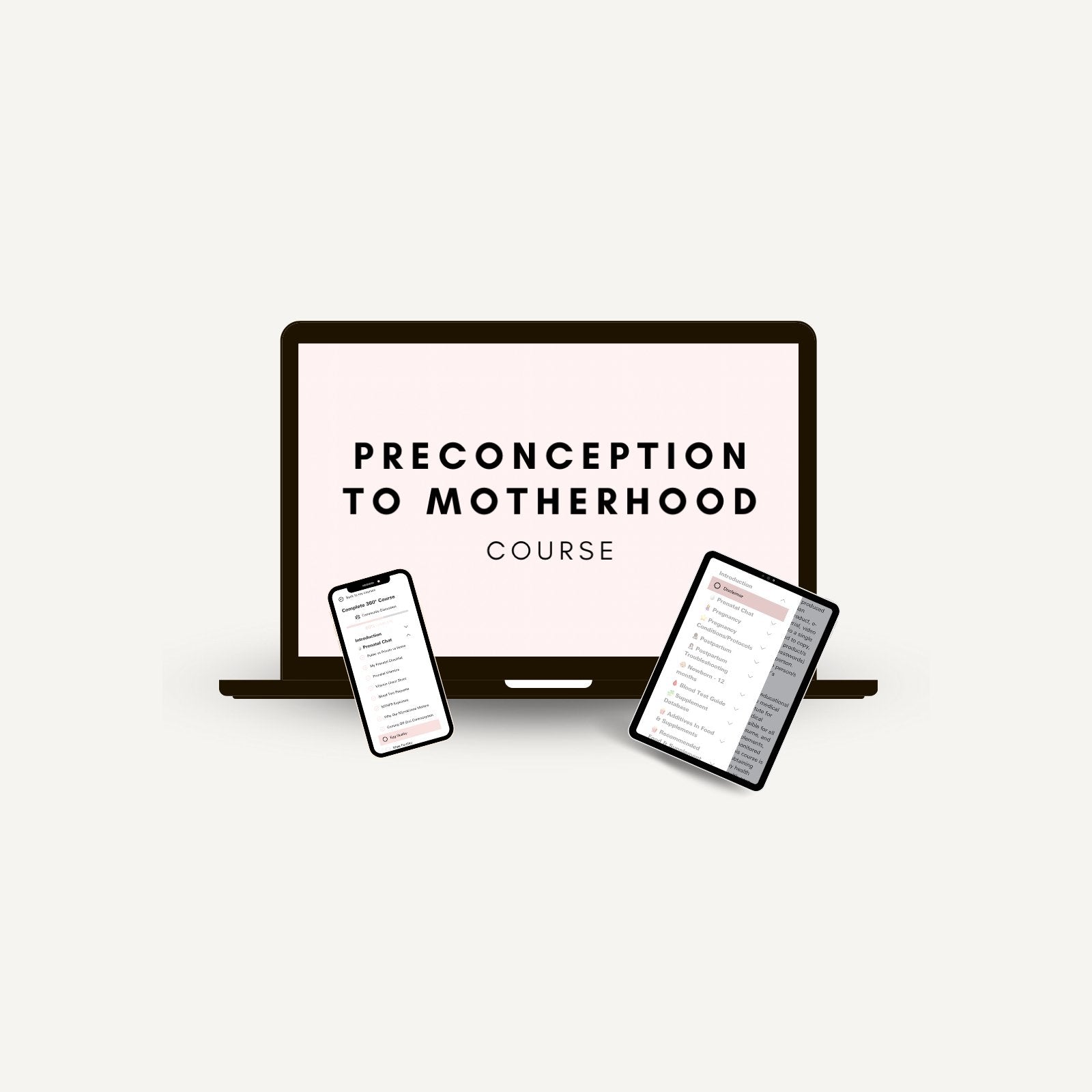 Preconception To Motherhood Course